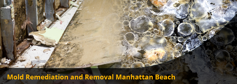 Mold Remediation and Removal Manhattan Beach CA